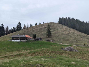 Steingrabner Alm und Eiblkopf.jpg