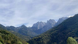 Barbet´s von den Tiroler Alpen im Zahmen Kaiser (2).JPG