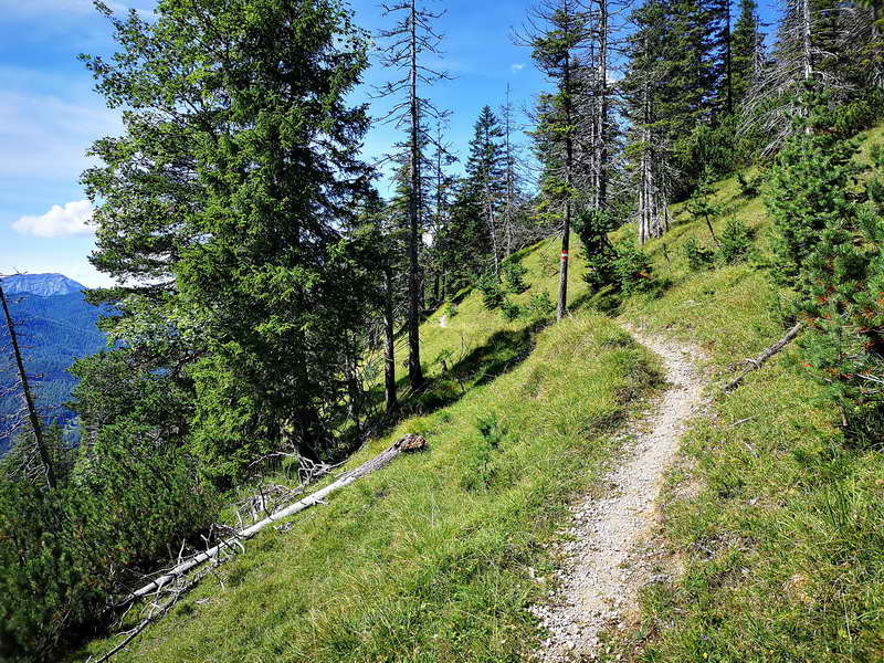 Trail_zum_Ameiskogel.jpg