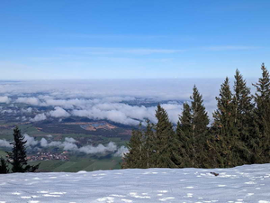 Hochnebel_im Alpenvorland.jpg