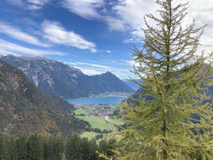 Barbet´s von den Tiroler Alpen am Feilkopf (3).jpg