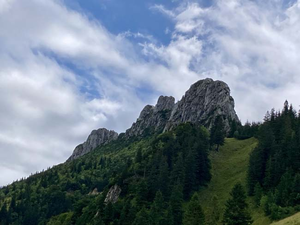 Barbet´s von den Tiroler Alpen unterwegs zur Kampenwand (2).jpg