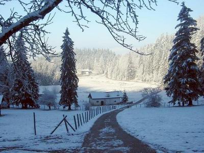 Der malerische Moserboden im Winter.