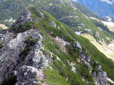 Blick zurück auf den Grat des Klettersteigs. Rechts das Dach der Bergstation Reckmoos.