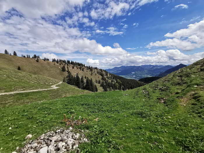 Blick von der Lechneralm auf die Chiemgauer Berge