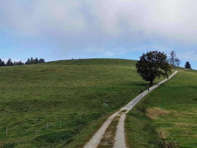 Unscheinbarer Reifenberg: Kein echter Gipfel, aber ein schönes Wanderziel
